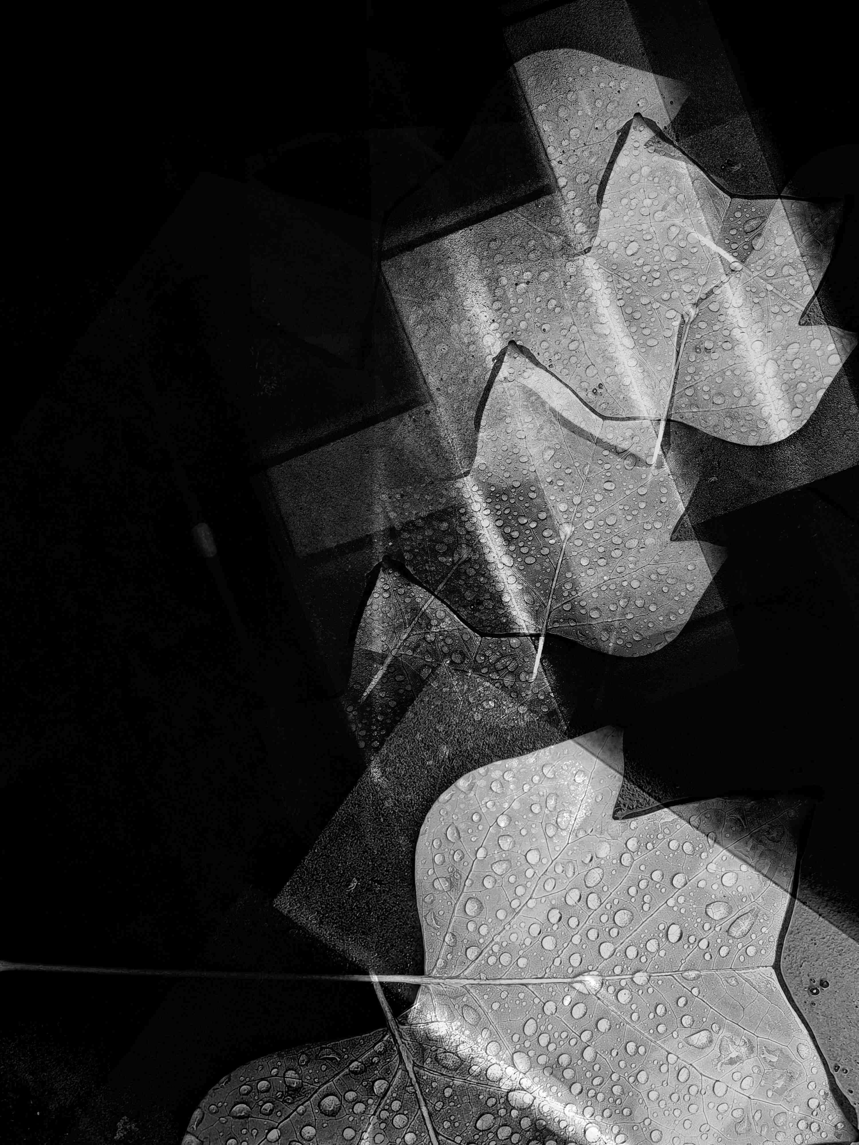 Colours (2016-Present)